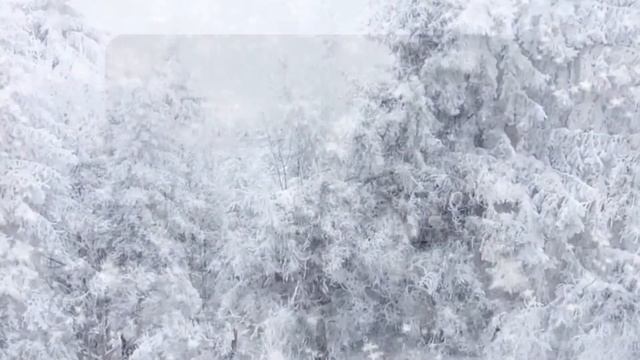 Фотосессия по мотивам сказки -12 месяцев- Яна Чуркина 2018г. смотреть онлайн