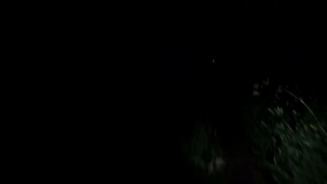 Crazy Owl 2021 или Сова без перьев. смотреть онлайн