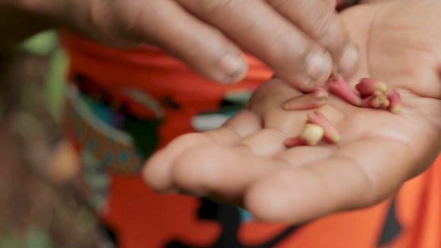 Co-Impact Sourcing: The Pursuit - Clove (Translated Subtitles)