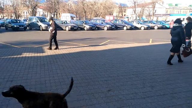 Пример съемки видео камерой телефона ZTE Nubia Z7 mini (1920x1080) смотреть онлайн