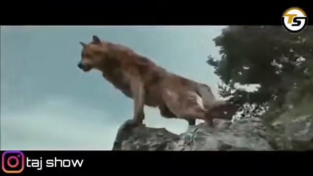 Сумерки под музыку лай лай смотреть онлайн