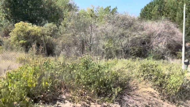 Солнечный берег. Болгария смотреть онлайн