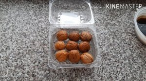 Как прорастить грецкий орех?