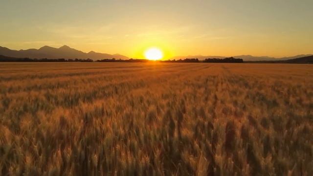 СИЛЬНАЯ МОЛИТВА ЗА ДЕТЕЙ!! смотреть онлайн