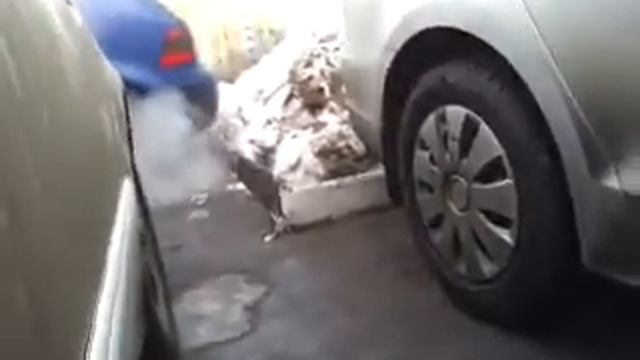 Рокот что надо смотреть онлайн