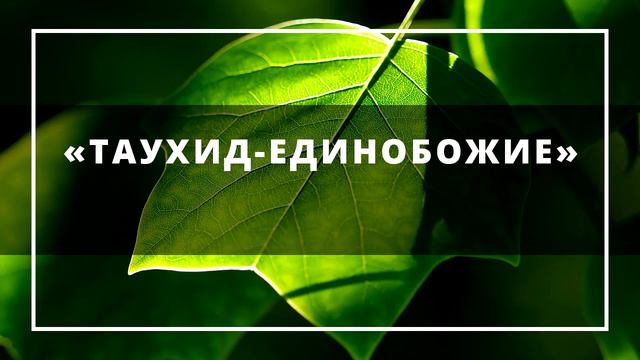 «Таухид   Единобожие»  Ринат Абу Мухаммад