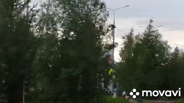 Прокатимся по летнему Салехарду. 🌍🌲🌳 Белые ночи. смотреть онлайн