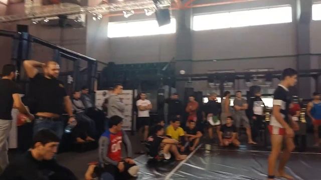 ГРЕППЛИНГ БОСТОН АЙТАЛЫ. смотреть онлайн