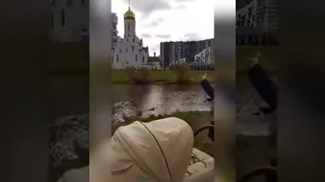 Город Кудрово смотреть онлайн