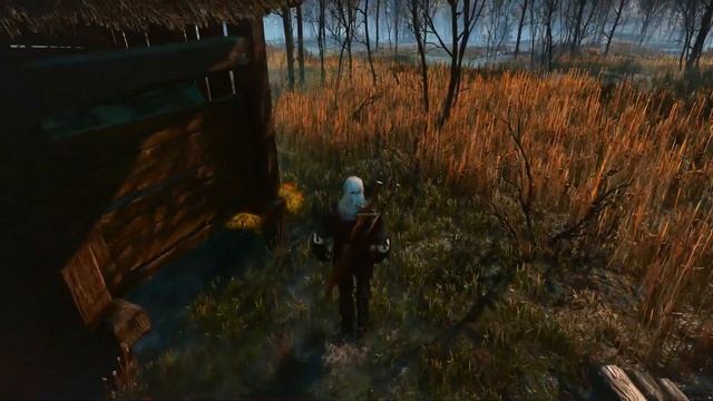 The Witcher 3: Wild Hunt — Walkthrough 4K (NG+,100L) #42 — Swamp Thing смотреть онлайн