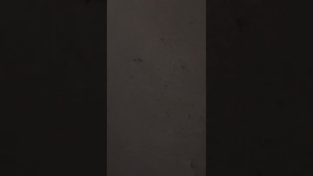 Диван на Авито. смотреть онлайн