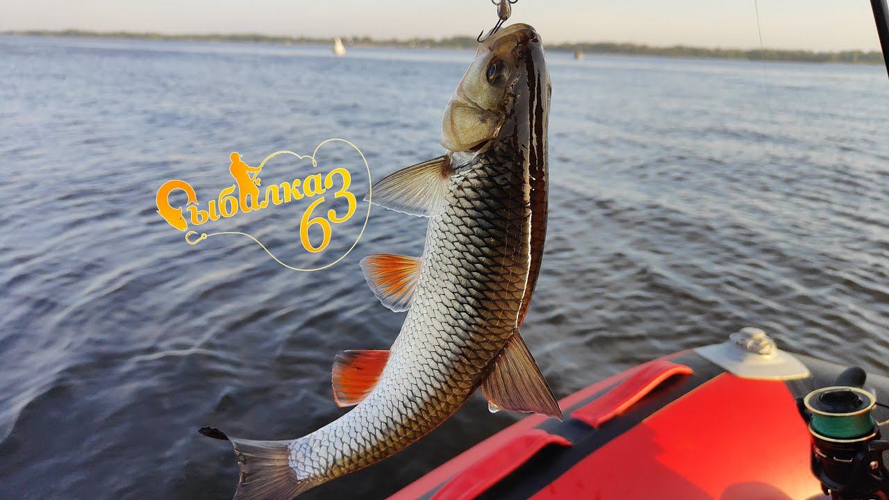 Уникальная стоянка Голавля на Волге: Рыбалка в жаркие дни смотреть онлайн