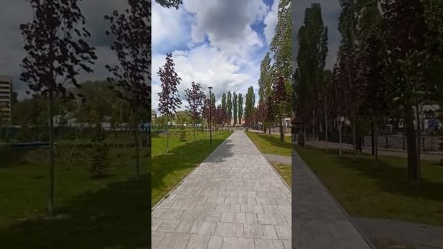Красные листья на деревьях весной смотреть онлайн