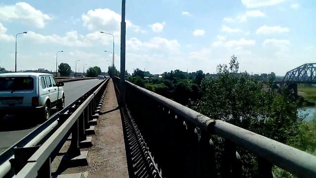 Не хвоста не чешуи смотреть онлайн