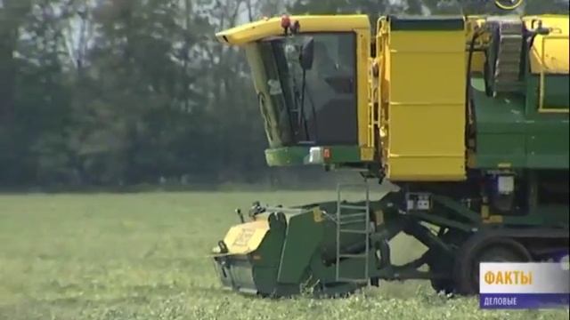 «Деловые факты»: отдых по-французски смотреть онлайн