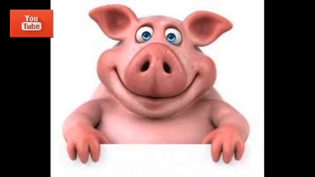 Свинья хрюкает , глоса и звуки животных для детей , проект изучаем голоса животных смотреть онлайн