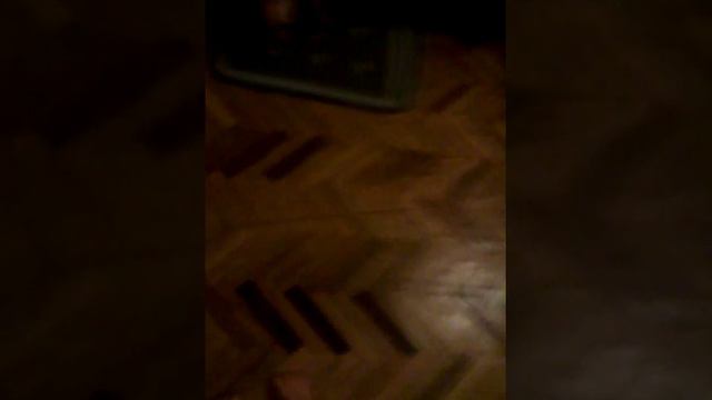 Джессика виновата (злое наказание собаки) смотреть онлайн