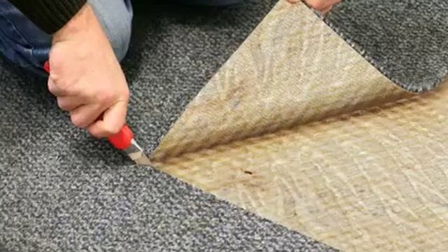 HG Floor Glue Remover