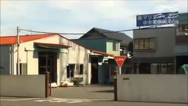 Coral Mine - Coral Club International