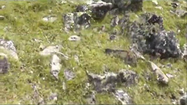 Видеообзор горы Сирх смотреть онлайн