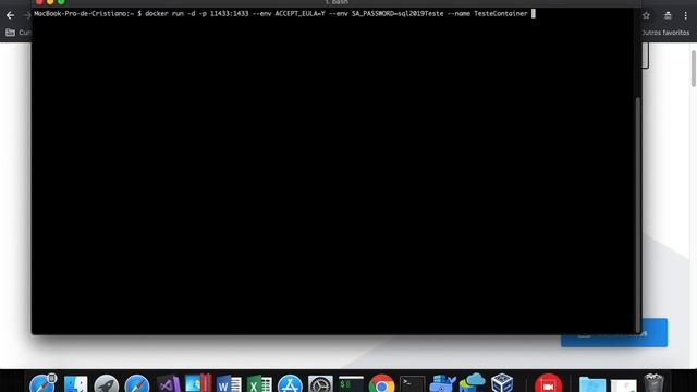Instalando o SQL Server 2019 CTP 2.0 no Docker смотреть онлайн