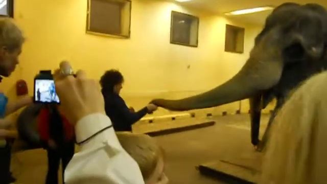 Андрей Процив в Цирке на Цветном смотреть онлайн