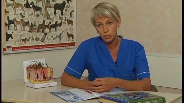 Овощи и фрукты в рационе собаки смотреть онлайн