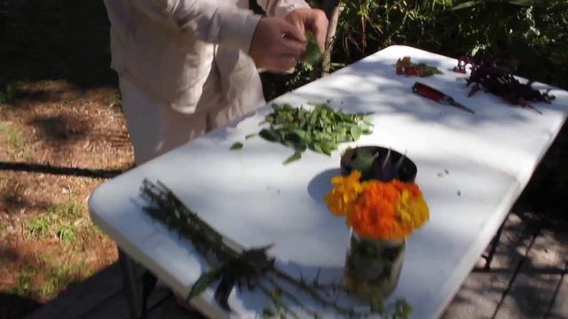 Top 5 Easy to Grow Perennial Food Crops смотреть онлайн