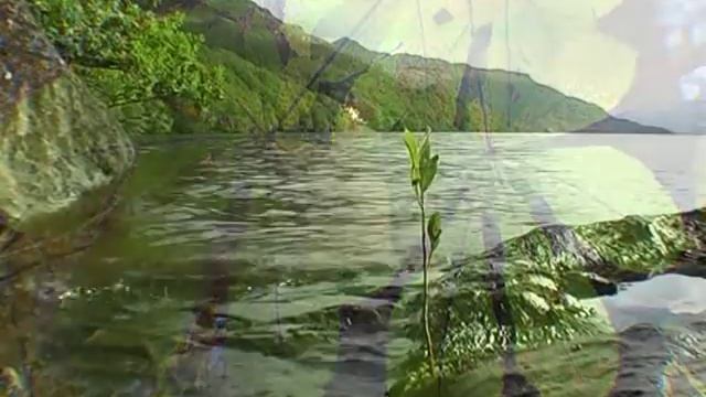 Oleg Nazarchuk - Low whisper\Тихий шепот (Official video) смотреть онлайн