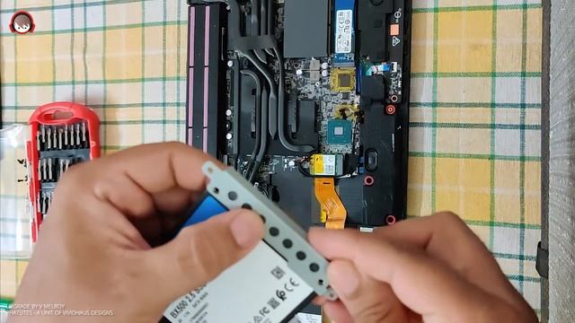 Upgrading 1TB HDD To 960GB SSD - MSI GL65 9SEK Gaming Laptop