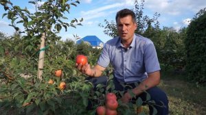 Хани крисп (Медовый хруст)