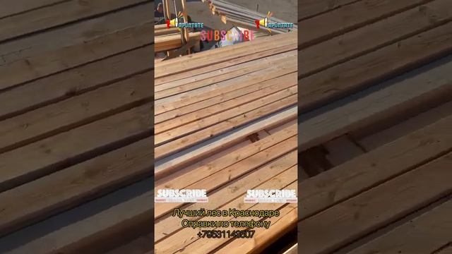 Самый лучший лес смотреть онлайн