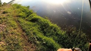 ЛОВЛЯ ОГРОМНОГО УСАЧА ИЗ СЫРДАРИ #Балик ови #рыбалка усач #Супер улов #мой трофей #sirdaryo baliq o