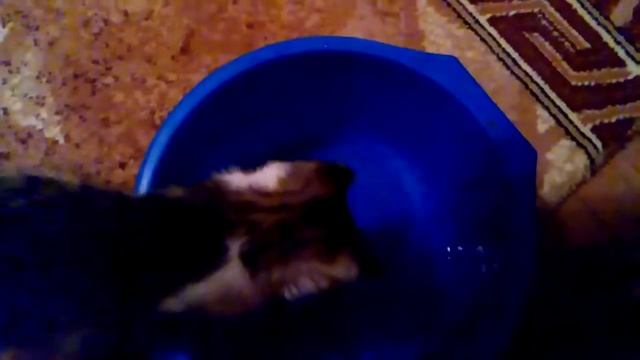 Водичка,водичка умой мое ..личико смотреть онлайн