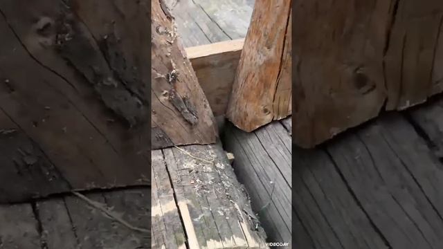 Стол из брёвен смотреть онлайн