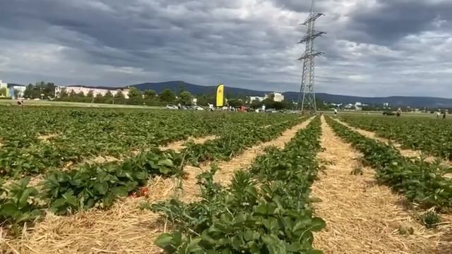 Oberursel, Germany