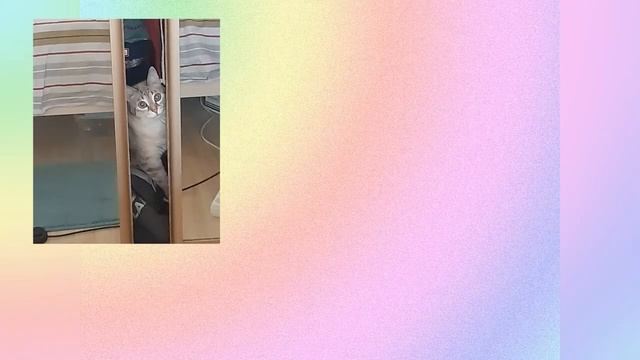 Мистическая история смотреть онлайн