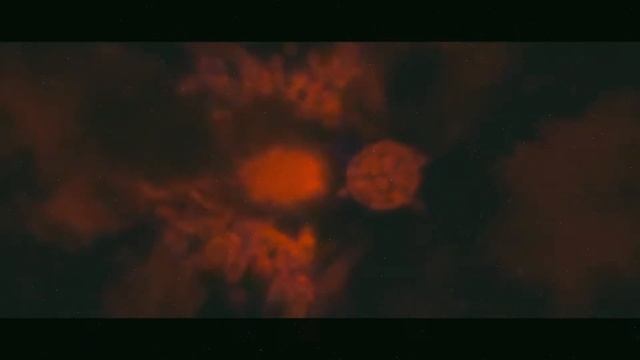 Deli Neu - Частичный выход (Дикий Звук Prod.) смотреть онлайн