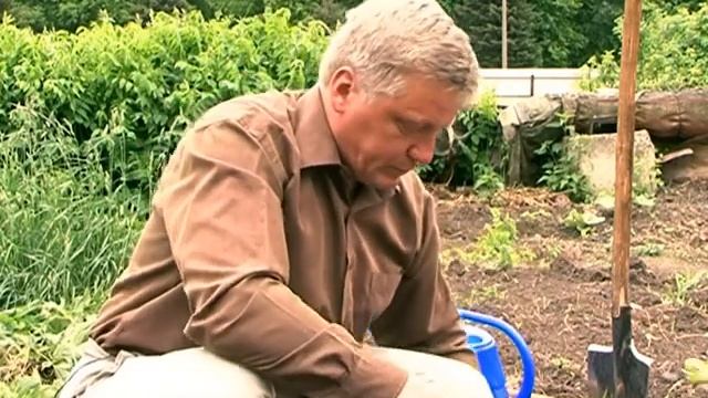 СЕКРЕТЫ ПОСАДКИ РАССАДЫ СВЁКЛЫ И ПОСЕВА ОГУРЦОВ смотреть онлайн