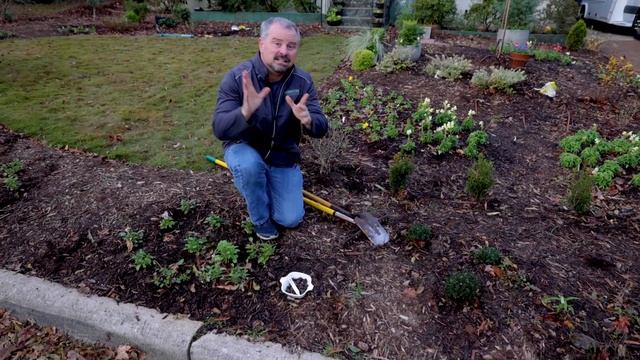 Planting Spring Flowering Bulbs - Scilla, Anemones, Amarcrinum, Snowdrops смотреть онлайн
