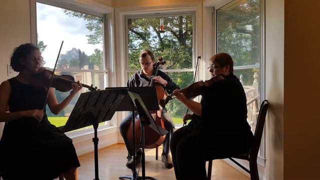 Jet Set Strings: MINUET (Beethoven) смотреть онлайн