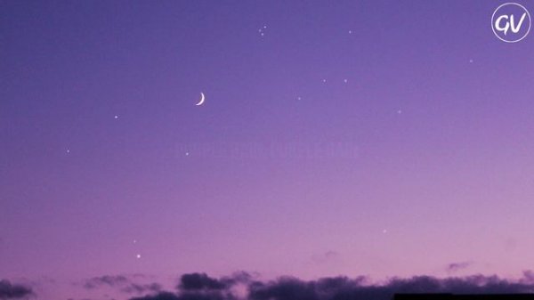 Prince - Purple Rain [Lyrics]