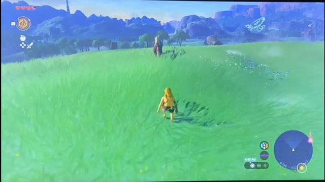 Tears of the kingdom Amiibo only смотреть онлайн