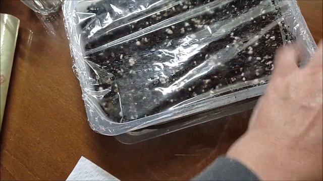 КАК МУЖ СЕЯЛ ПОМИДОРЫ. ВЫСЕВАЮ ПЕТУНИЮ. СЕЮ ЛЮБИМУЮ РОМАШКУ.