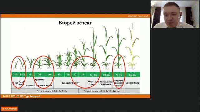 Озимые в Сибири? Это возможно! Андрей Тур смотреть онлайн