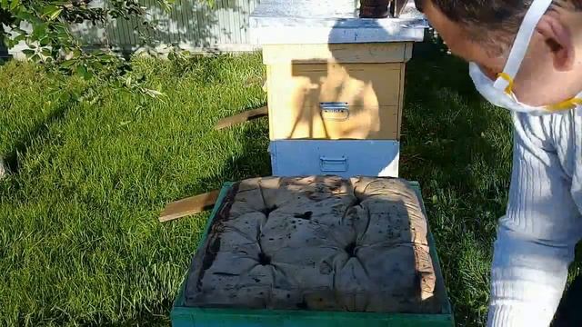 ?Первая летняя обработка пчел от варроатоза и акарапидоза смотреть онлайн