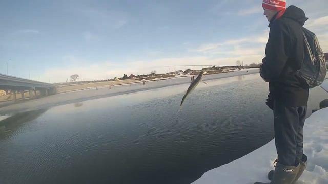 Подъязки и уклейка на мормодроч - кадры за 29-31.03.2020 смотреть онлайн