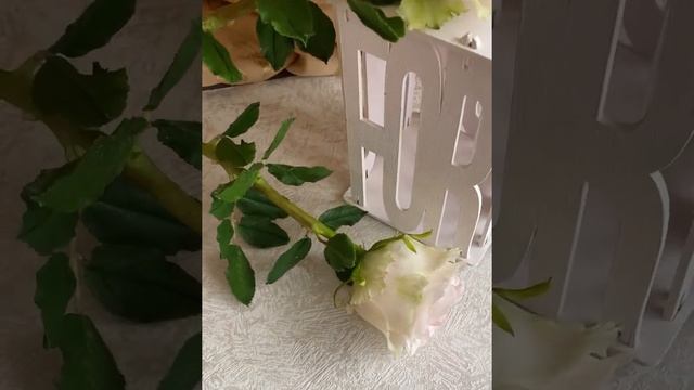 Розовые розы из холодного фарфора смотреть онлайн
