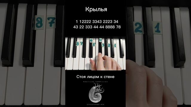 Крылья Наутилус Помпилиус Русский рок на пианино 🎹 Обучение Сыграет каждый смотреть онлайн