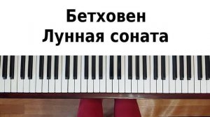 ЛУННАЯ СОНАТА НА ПИАНИНО урок №3 Как сыграть на фортепиано Бетховен Moonlight sonata красивая музык